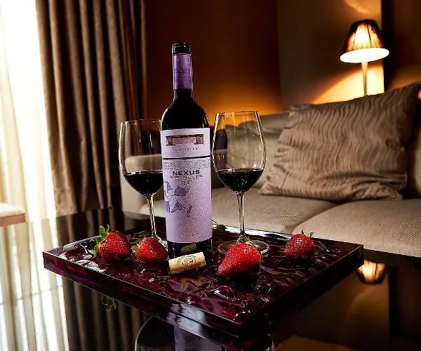 Sin servicio: Nexus Valladolid Suites&Hotel